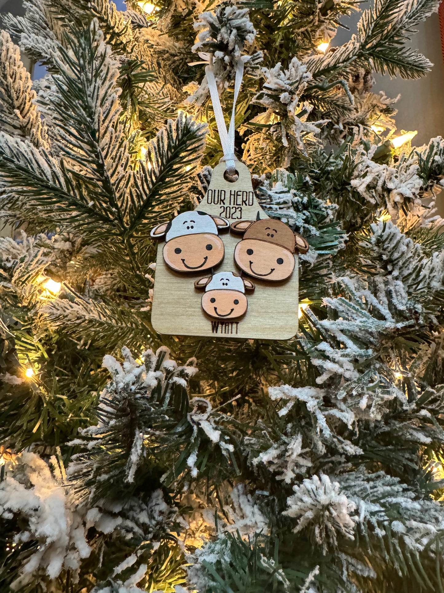 Custom and Acrylic Ornaments